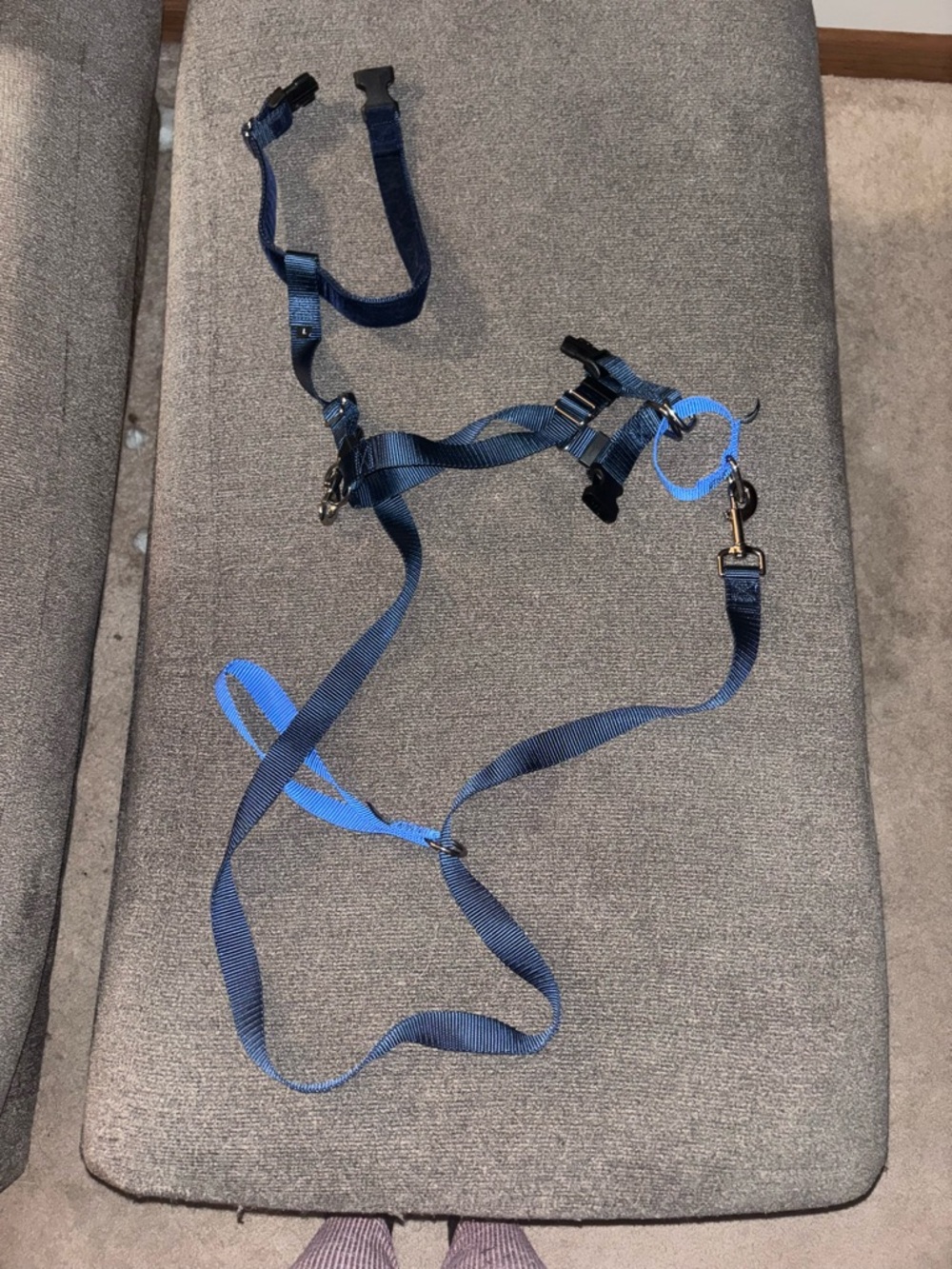 Dog Harness and Leash Set